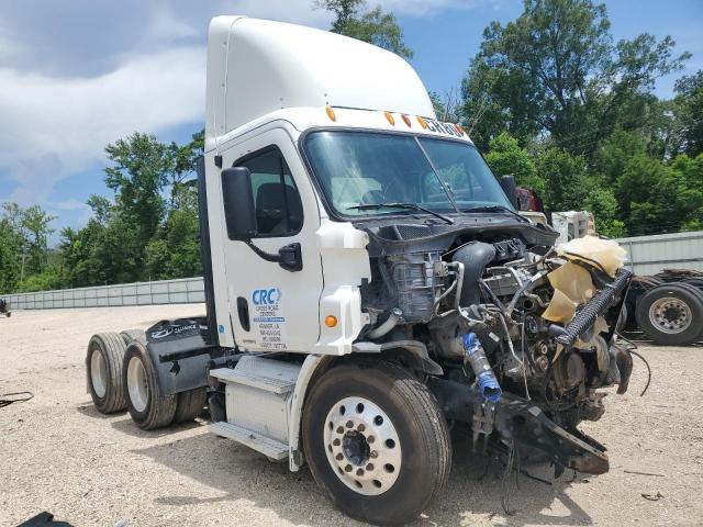 2012 Freightliner Cascadia 113 Semi Truck