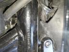 2022 HONDA CMX300 A   for sale at Copart IA - DAVENPORT
