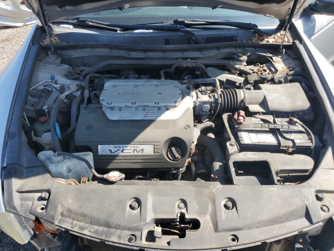 2011 Honda Accord Exl VIN: 1HGCP3F85BA003269 Lot: 59085025