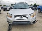 2010 Hyundai Santa Fe Gls للبيع في Haslet، TX - Front End