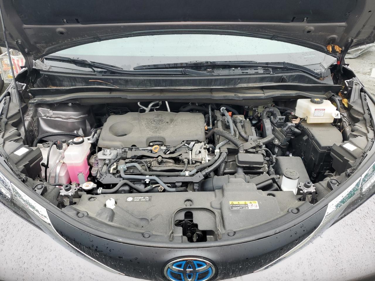 2021 Toyota Sienna Le VIN: 5TDKRKEC9MS025138 Lot: 59515985