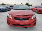 2010 Toyota Corolla Base   for Sale in Haslet, TX - Front End