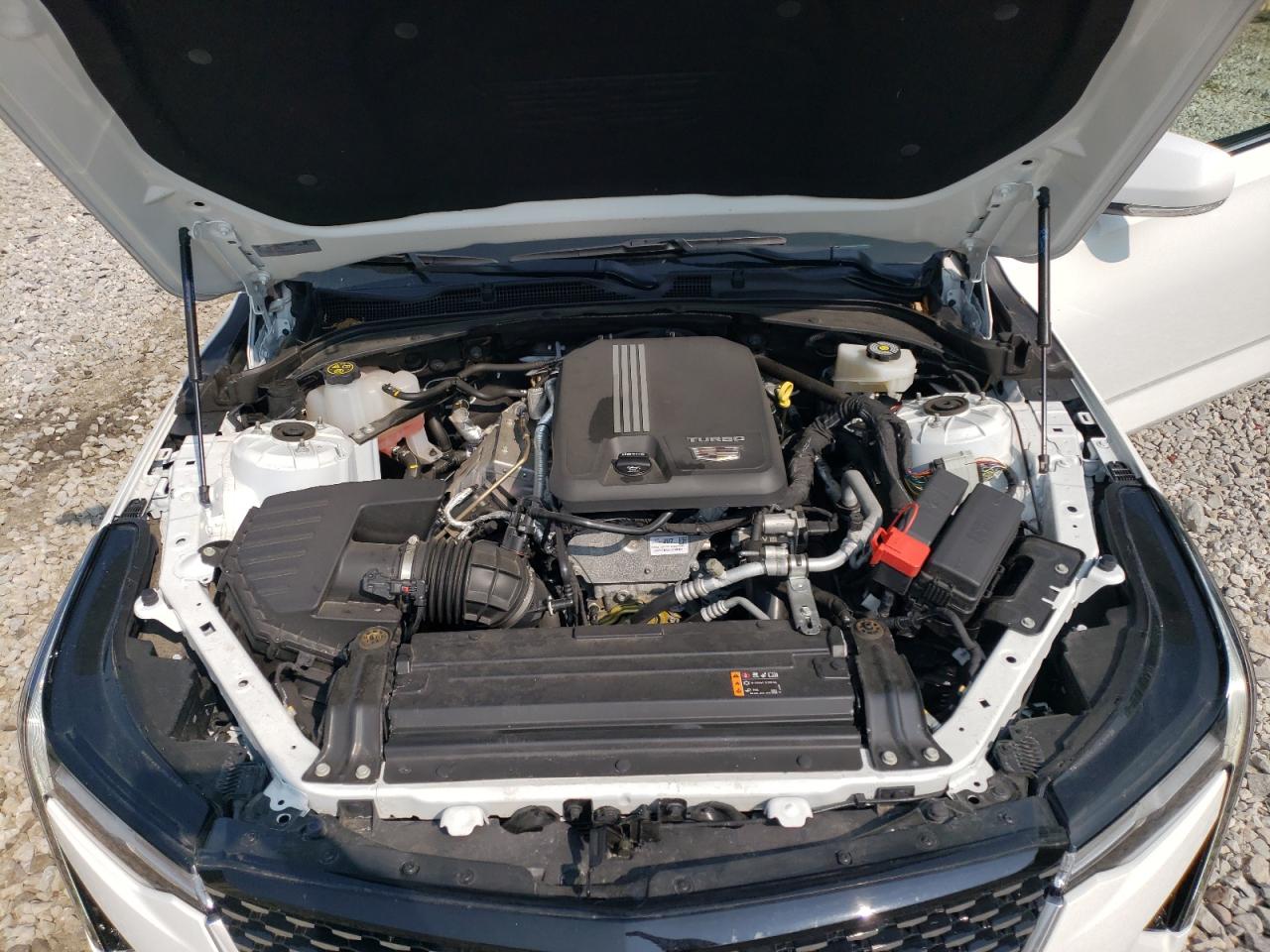 2023 Cadillac Ct4 Luxury VIN: 1G6DK5RK6P0157896 Lot: 59440705