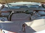 2014 Acura Mdx Technology продається в Grand Prairie, TX - Water/Flood