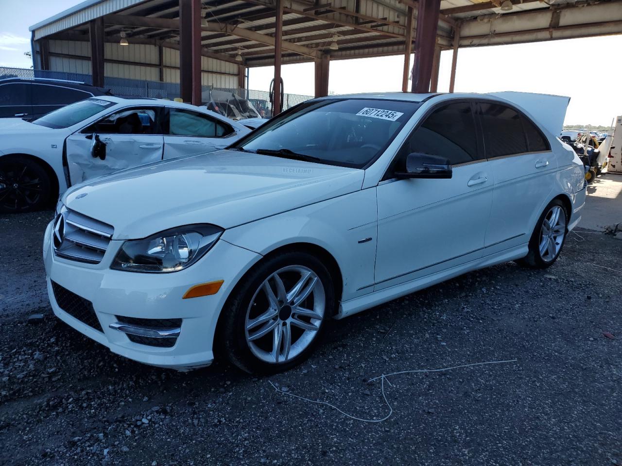 2012 Mercedes-Benz C 250 de vânzare în Riverview, FL - Rear End