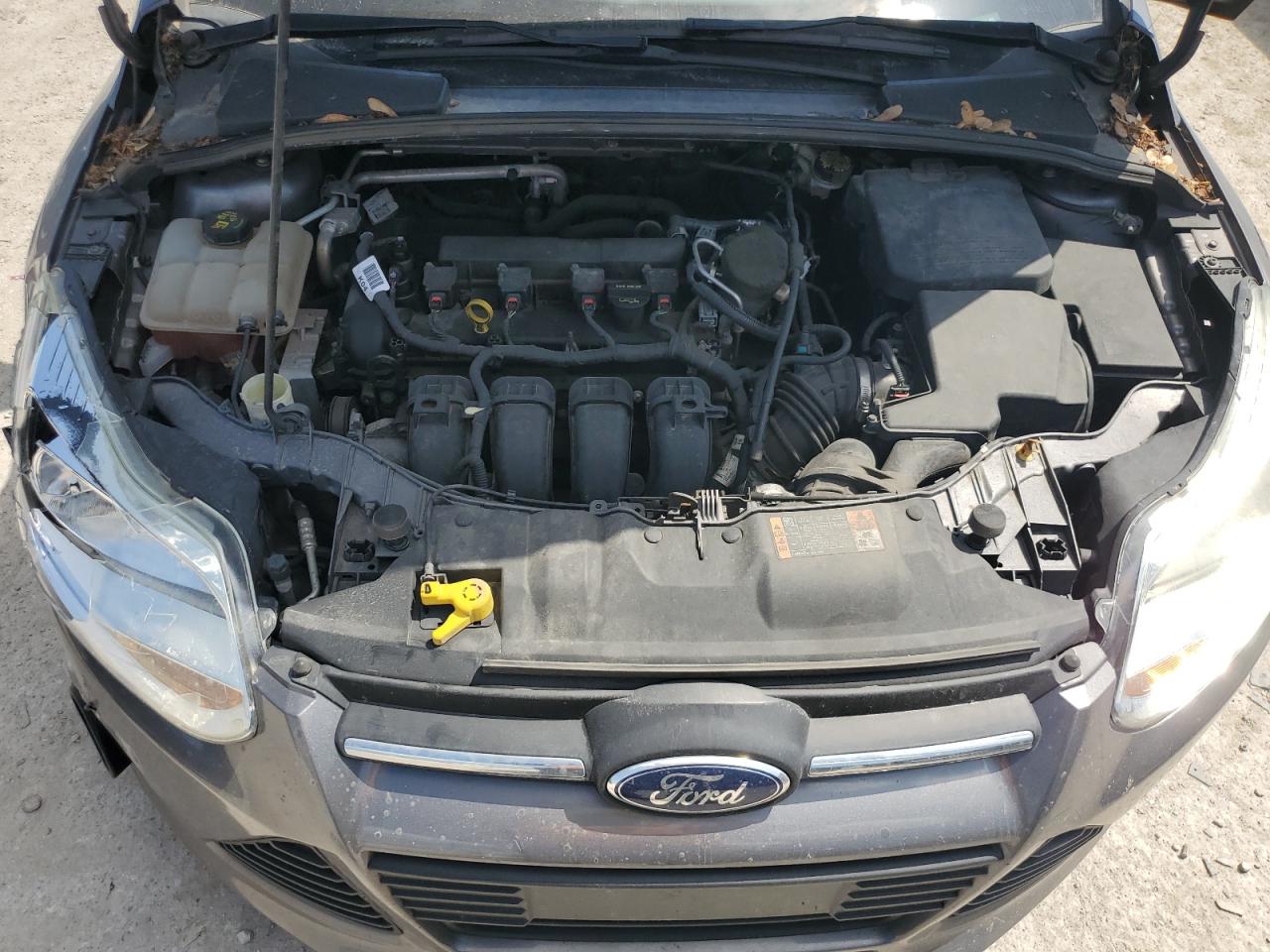 2014 Ford Focus Se VIN: 1FADP3F24EL370841 Lot: 61542565