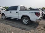 Hillsborough, NJ에서 판매 중인 2014 Ford F150 Supercrew - Burn