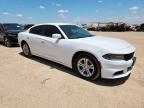 2019 Dodge Charger Sxt იყიდება Amarillo-ში, TX - Hail