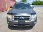 2011 FORD ESCAPE XLT   for sale at Copart ON - LONDON