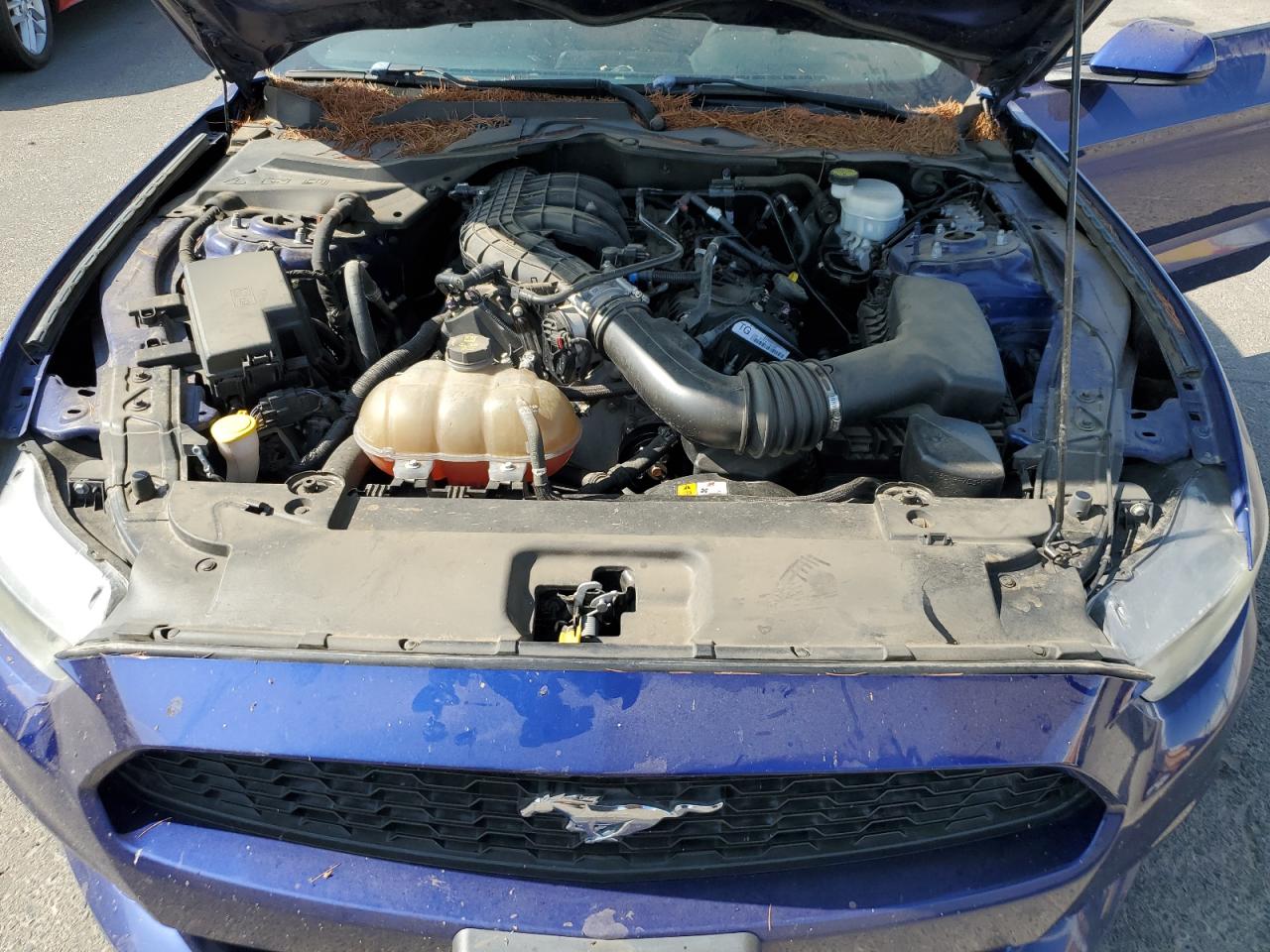 1FA6P8AMXG5310925 FORD ALL Models 2016