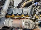 2005 Kenworth W900 Semi Truck na sprzedaż w Eight Mile, AL - Front End