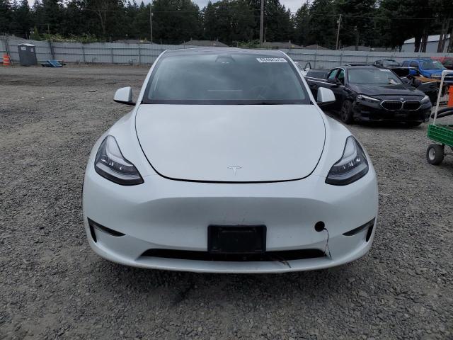  TESLA MODEL Y 2023 Белы