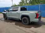 2025 TOYOTA TUNDRA CREWMAX LIMITED   for sale at Copart NB - MONCTON