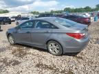 2013 Hyundai Sonata Gls   იყიდება Chalfont-ში, PA - Front End