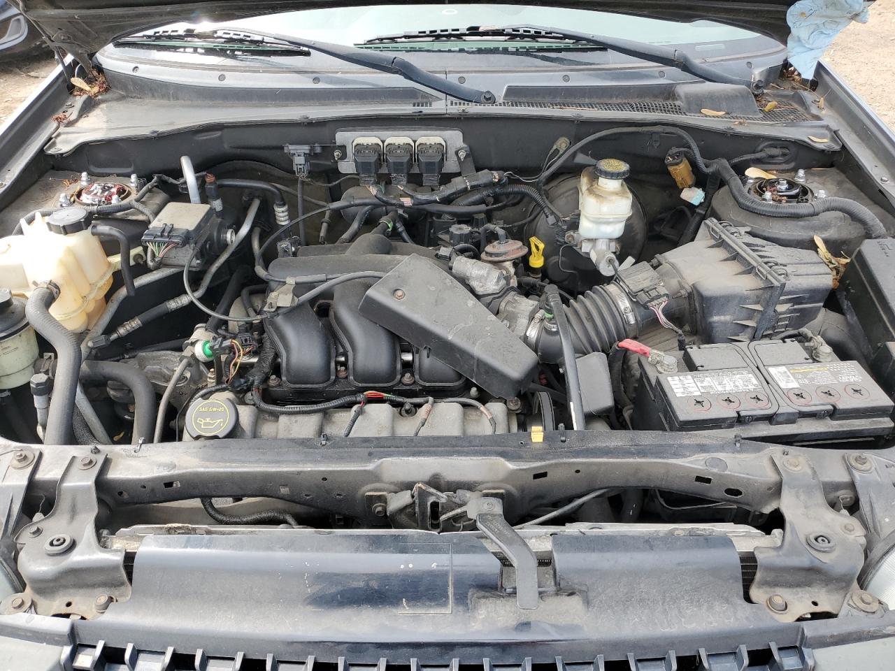 2005 Ford Escape Xlt VIN: 1FMYU03185DA20598 Lot: 59207935