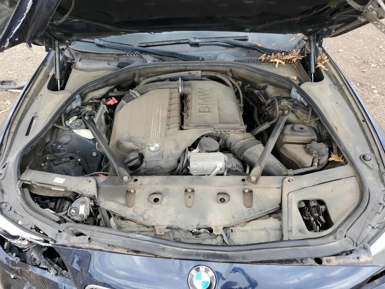 2014 BMW 535 Xi VIN: WBA5B3C55ED293173 Lot: 62779885