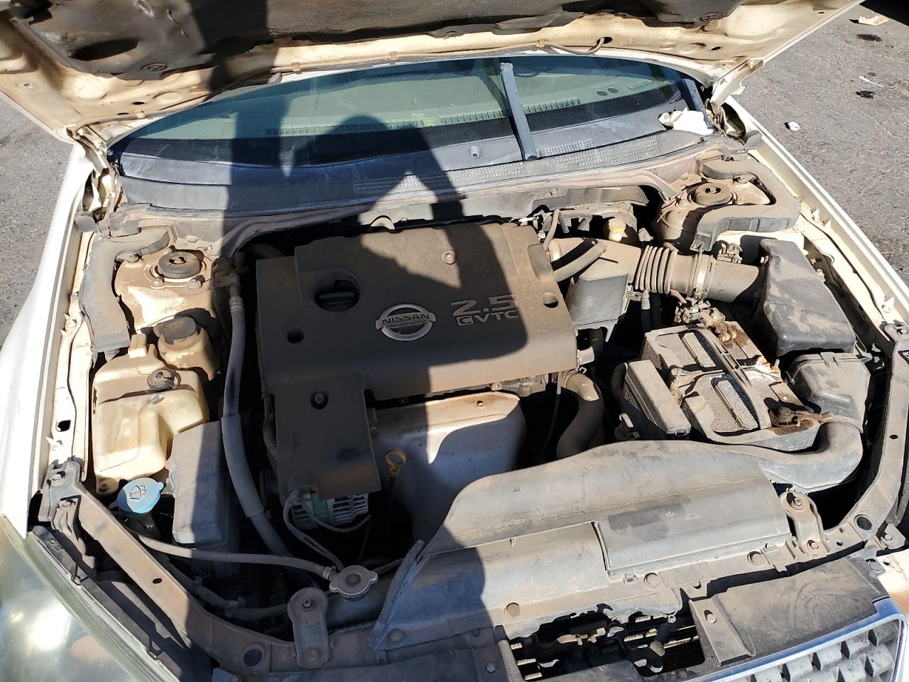 2005 Nissan Altima S VIN: 1N4AL11D75C202879 Lot: 62724455