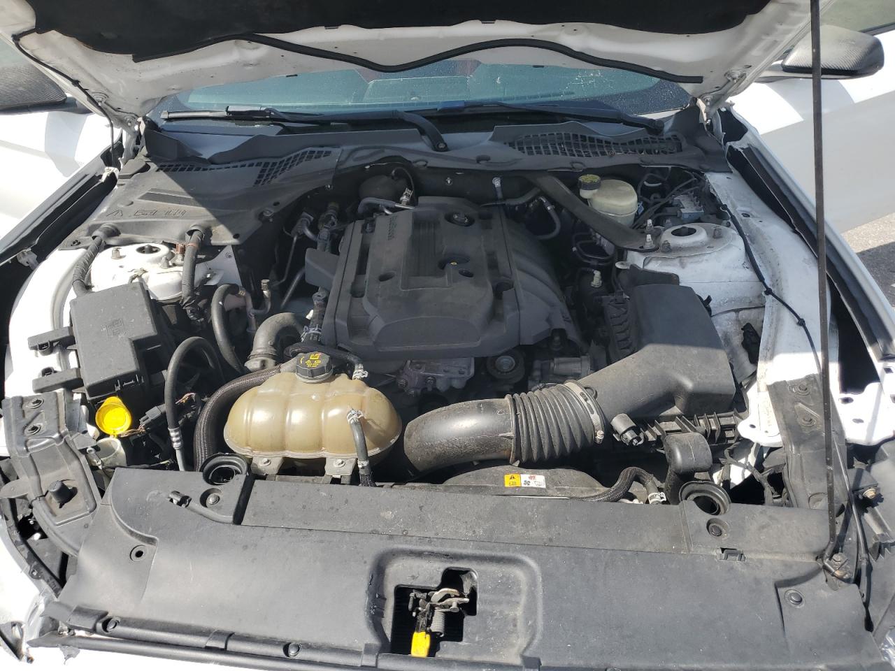 1FA6P8TH5G5223417 FORD ALL Models 2016