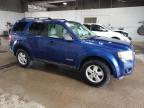 2008 FORD ESCAPE XLT   for sale at Copart MN - MINNEAPOLIS