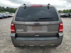 2012 Ford Escape Xlt for Sale in Augusta, GA - Front End