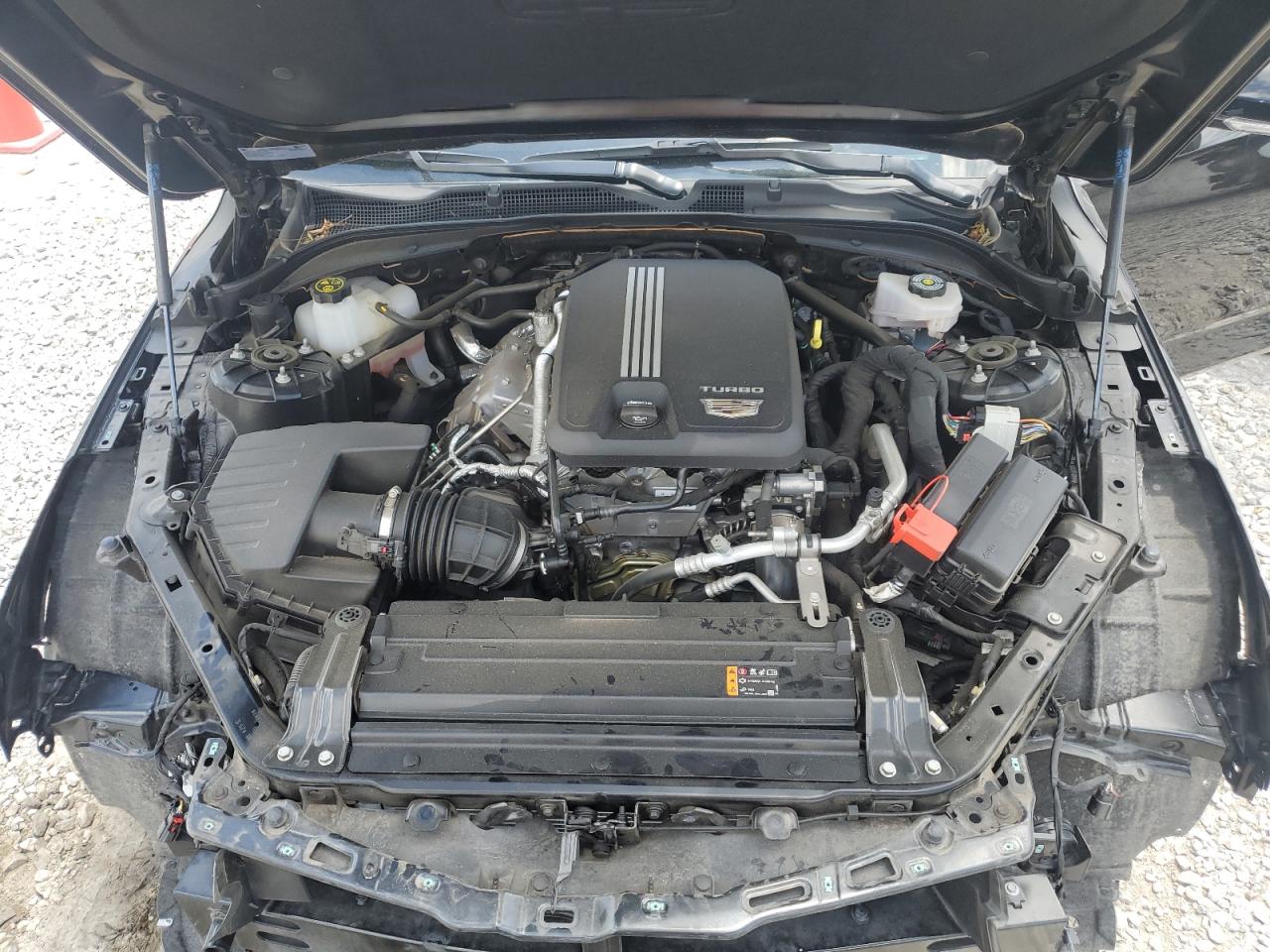 2021 Cadillac Ct4 Premium Luxury VIN: 1G6DB5RKXM0148193 Lot: 61013165