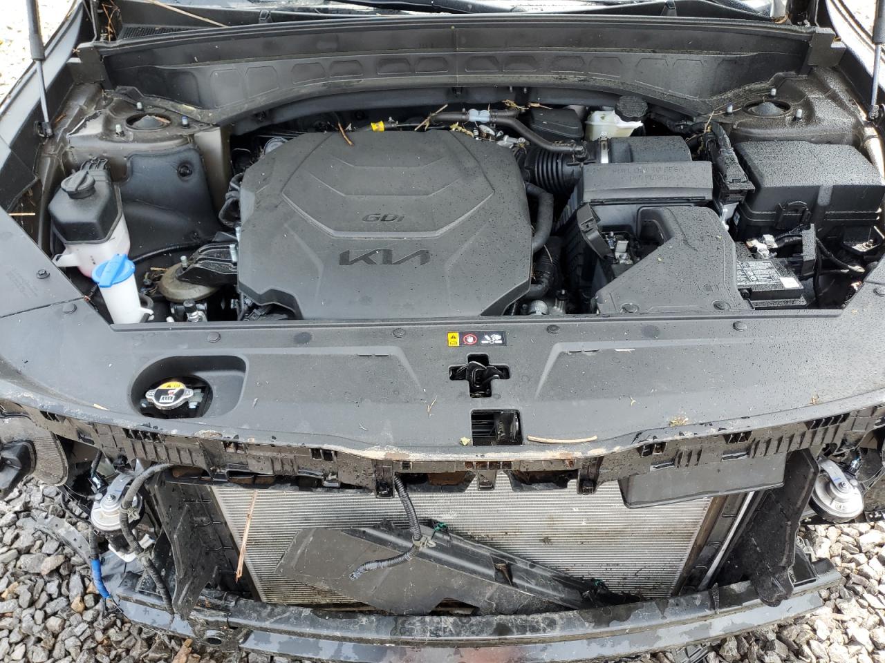 2024 Kia Telluride Sx VIN: 5XYP5DGC1RG545204 Lot: 60695635
