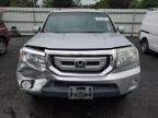 2011 Honda Pilot Ex en Venta en New Britain, CT - Front End