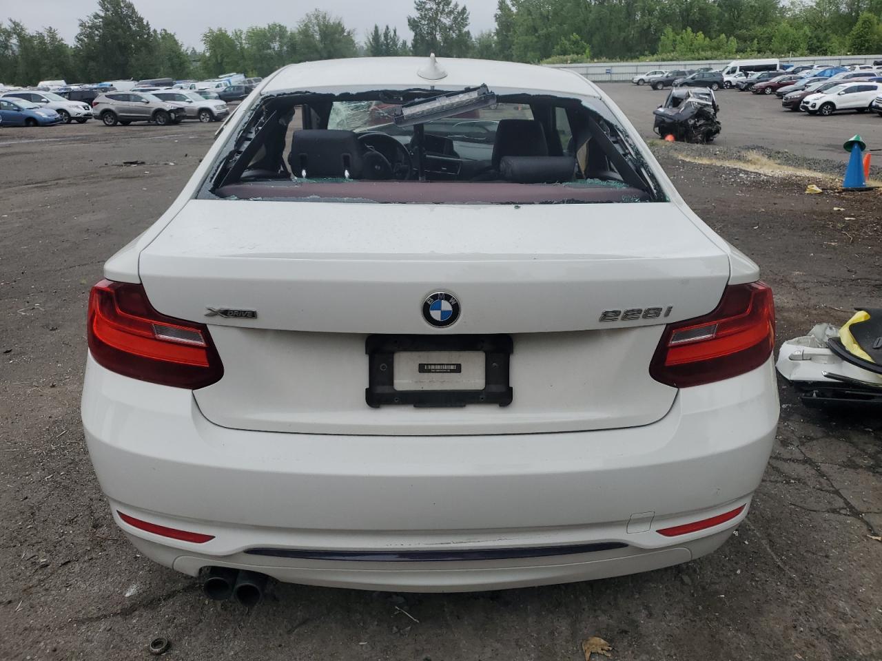 2016 BMW 228 Xi Sulev VIN: WBA1G9C59GV599146 Lot: 59822205