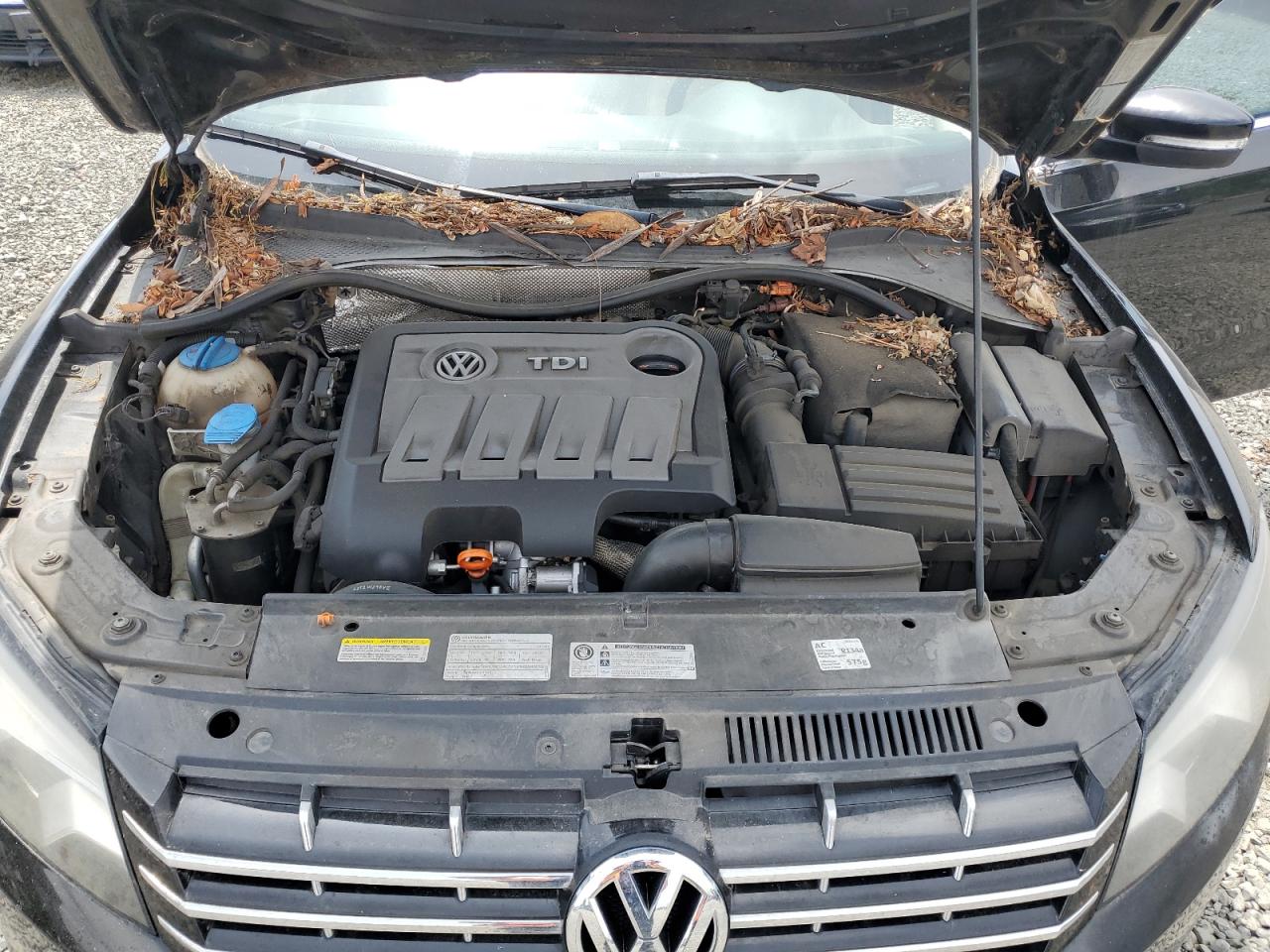 2013 Volkswagen Passat Se VIN: 1VWBN7A34DC099399 Lot: 62032185