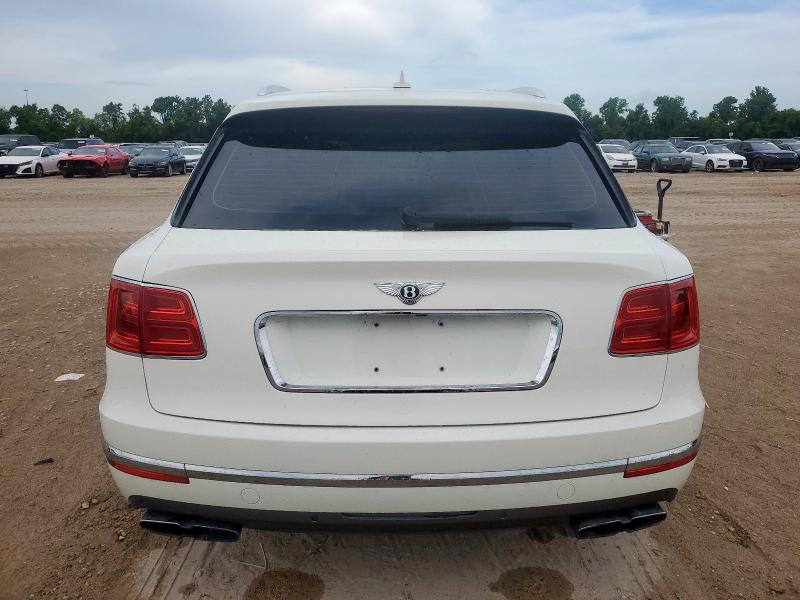  BENTLEY ALL MODELS 2019 White