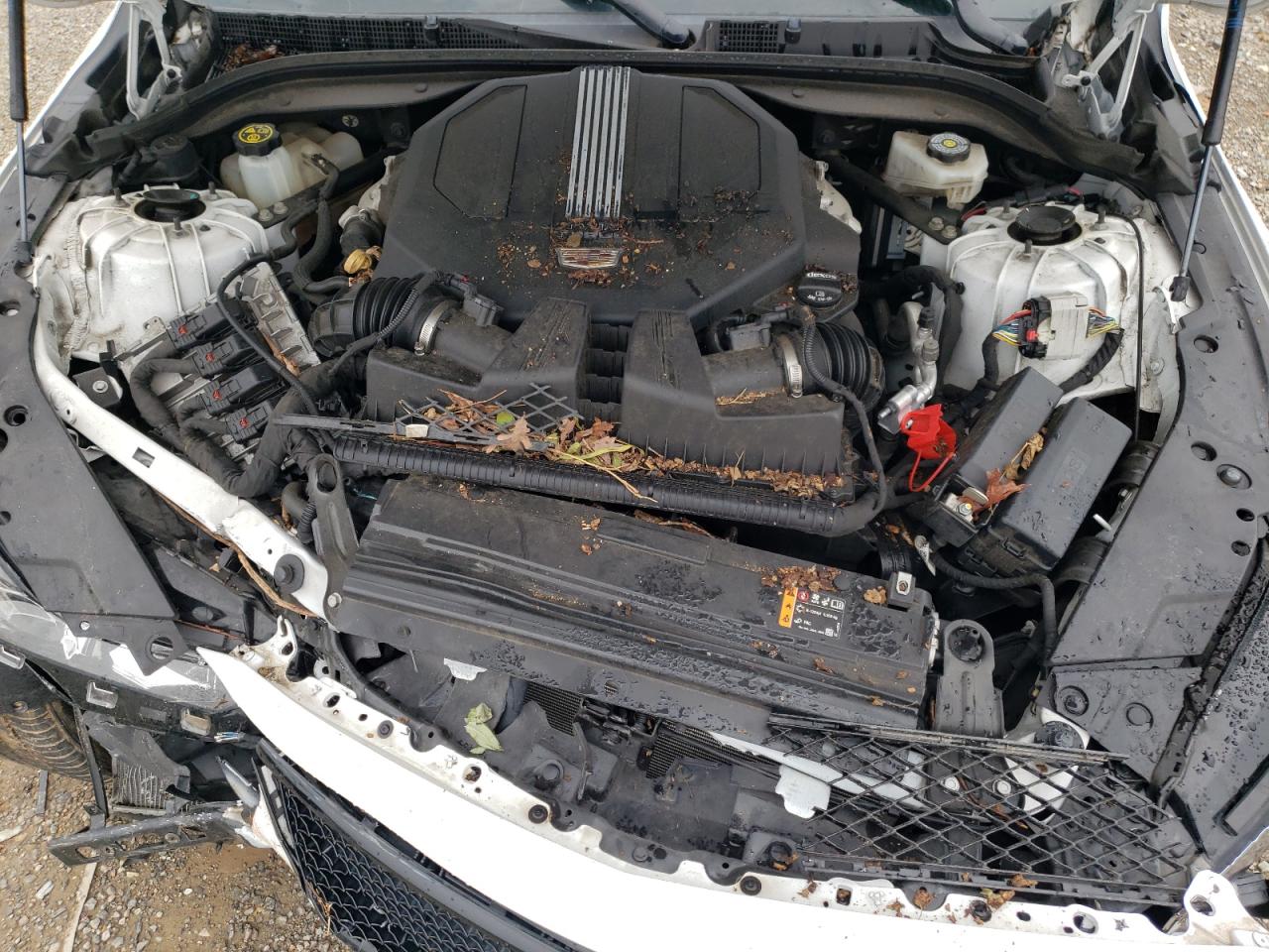 2020 Cadillac Ct5-V VIN: 1G6DV5RW3L0136282 Lot: 60639485