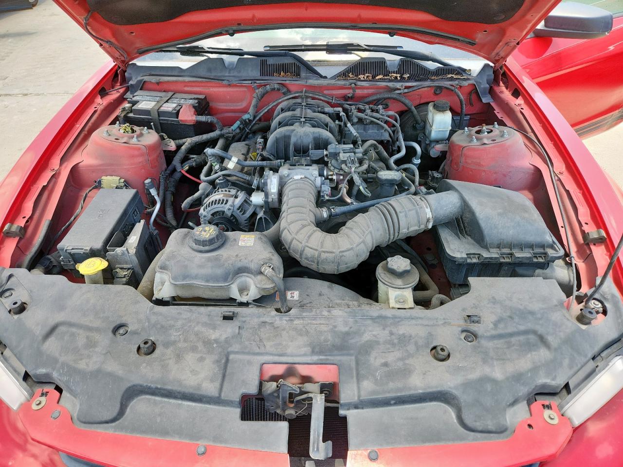 2010 Ford Mustang VIN: 1ZVBP8EN5A5167446 Lot: 62719225