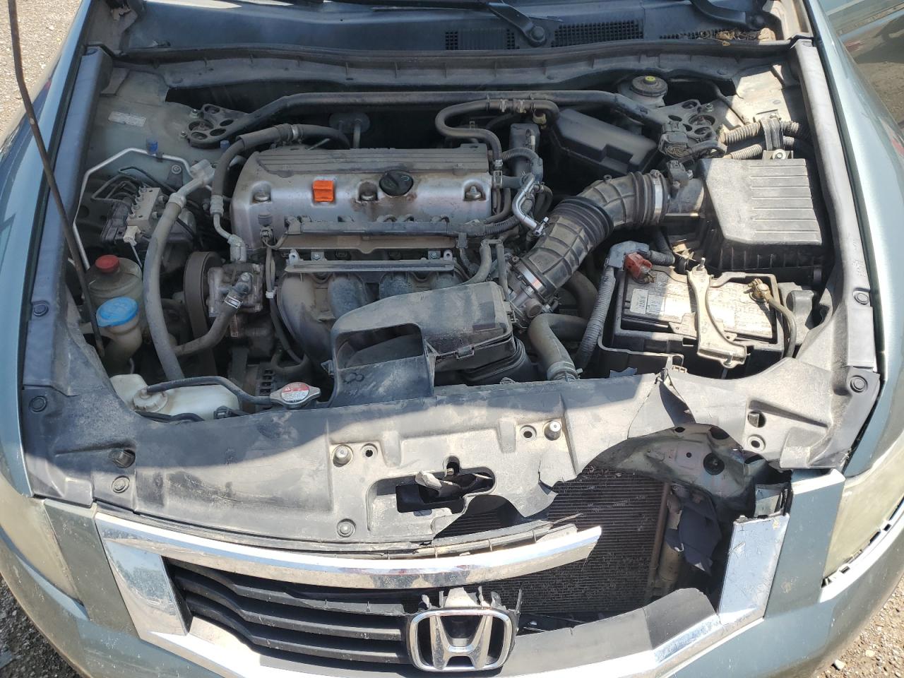 2010 Honda Accord Exl VIN: 1HGCP2F8XAA110133 Lot: 61597745