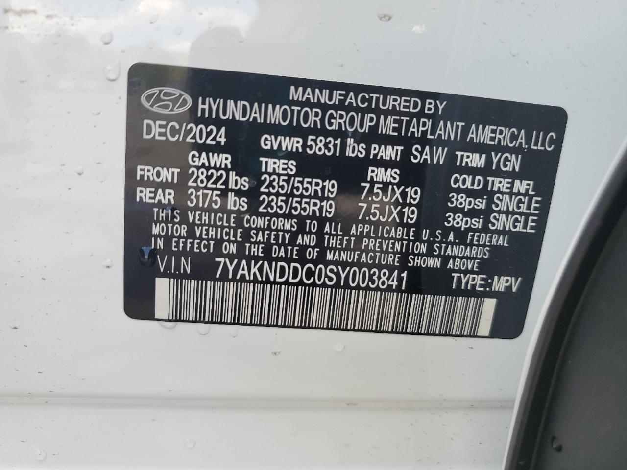2025 Hyundai Ioniq 5 Sel VIN: 7YAKNDDC0SY003841 Lot: 62786345