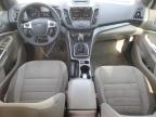 2013 Ford Escape Se   იყიდება Albuquerque-ში, NM - Minor Dent/Scratches