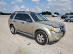 2012 Ford Escape Xlt for Sale in New Braunfels, TX - Side