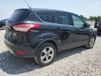 2014 Ford Escape Se   for Sale in Walton, KY - Minor Dent/Scratches