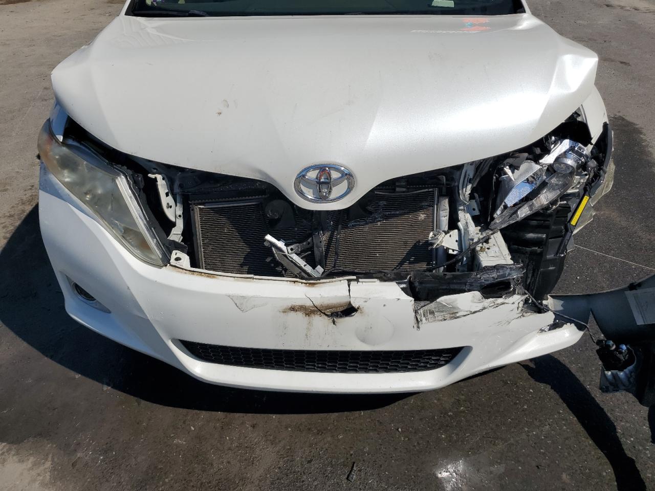 2009 Toyota Venza VIN: 4T3ZK11A59U007114 Lot: 62214165