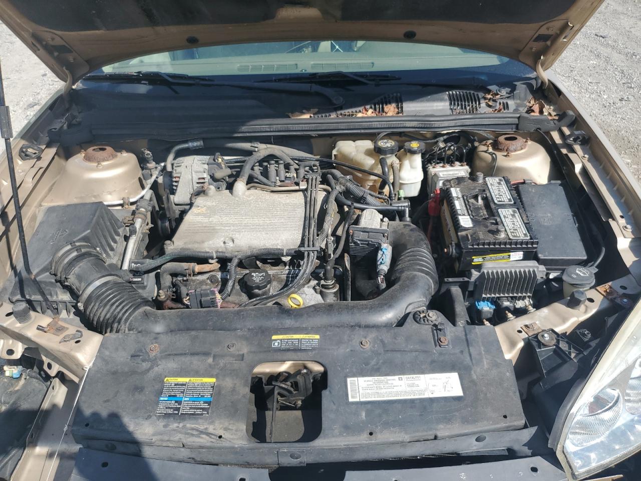 2005 Chevrolet Malibu Ls VIN: 1G1ZT54895F163559 Lot: 61725015