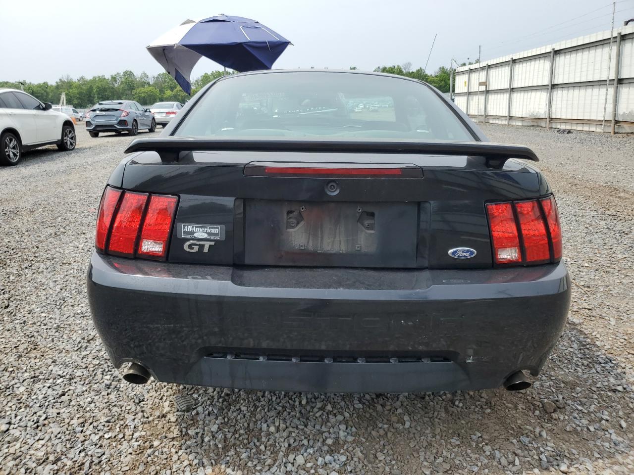 2002 Ford Mustang Gt VIN: 1FAFP42X62F236827 Lot: 56749845