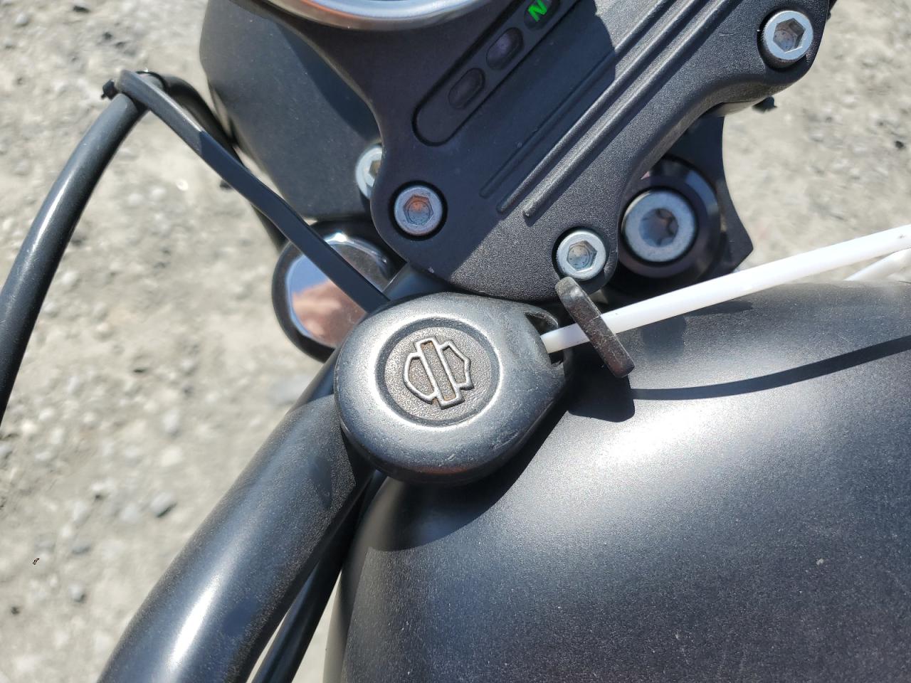 2015 Harley-Davidson Xl883 Iron 883 VIN: 1HD4LE214FC440532 Lot: 60706285