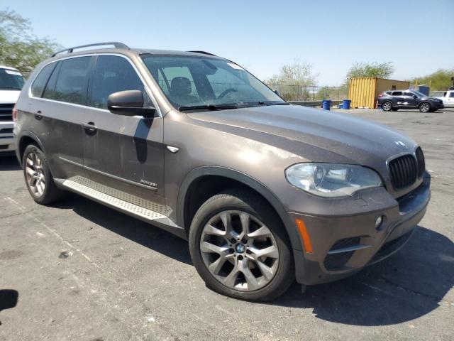 Parquets BMW X5 2013 Brown