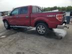 Apopka, FL에서 판매 중인 2013 Ford F150 Supercrew   - Front End