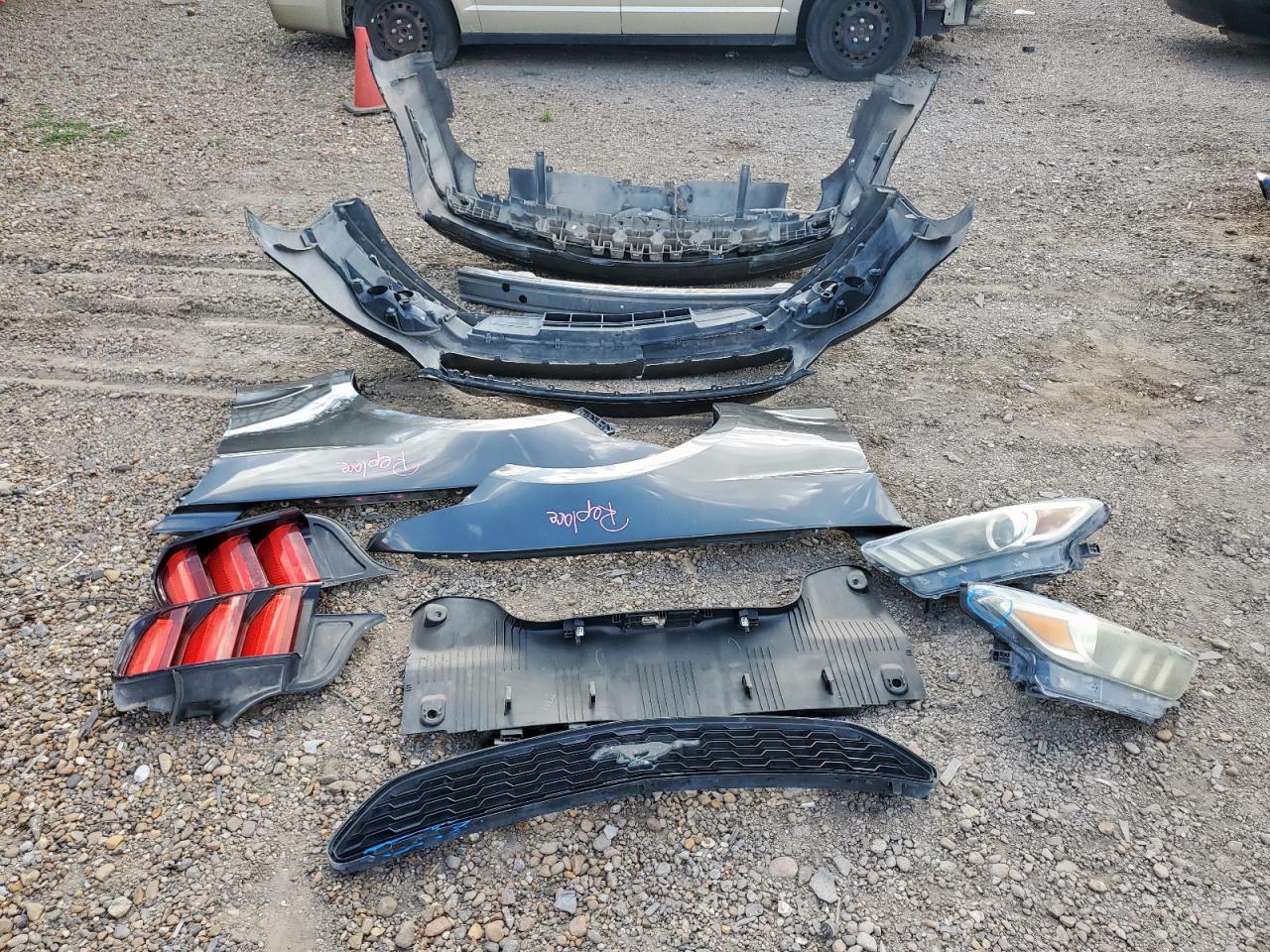 2015 Ford Mustang VIN: 1FA6P8AM7F5396743 Lot: 62782315