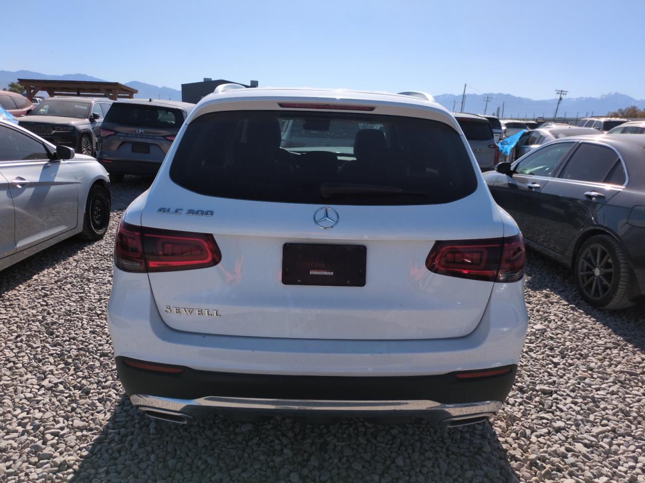 2020 Mercedes-Benz Glc 300 VIN: W1N0G8DB0LF865079 Lot: 58727935