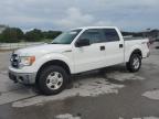 Lebanon, TN에서 판매 중인 2013 Ford F150 Supercrew   - Hail