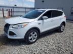 Appleton, WI에서 판매 중인 2013 Ford Escape Se - Front End