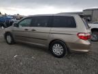 2005 Honda Odyssey Lx იყიდება Earlington-ში, KY - Hail