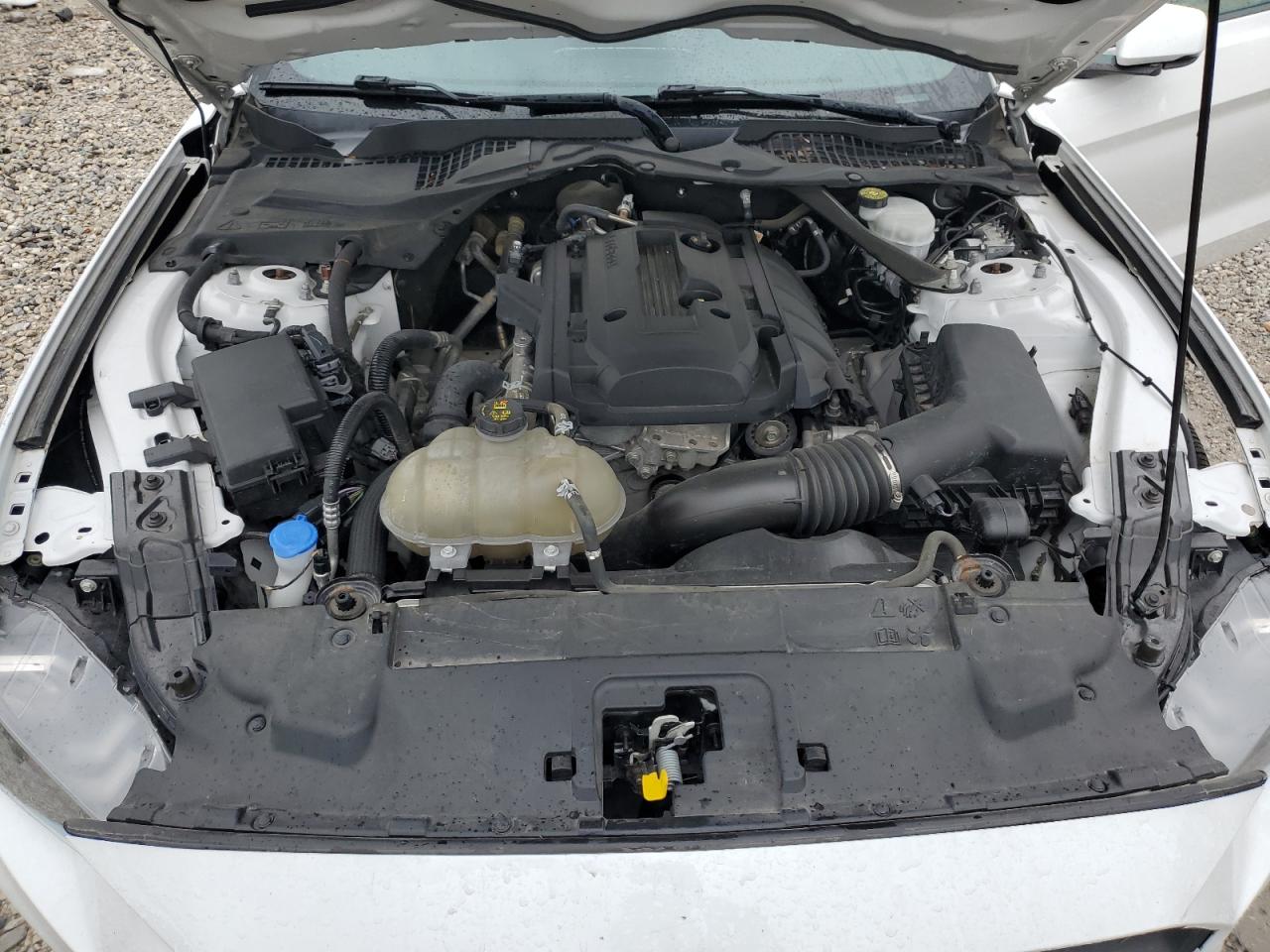 2020 Ford Mustang VIN: 1FATP8UH1L5185468 Lot: 60738345