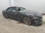 Gastonia, NC에서 판매 중인 2023 Ford Mustang    - Front End